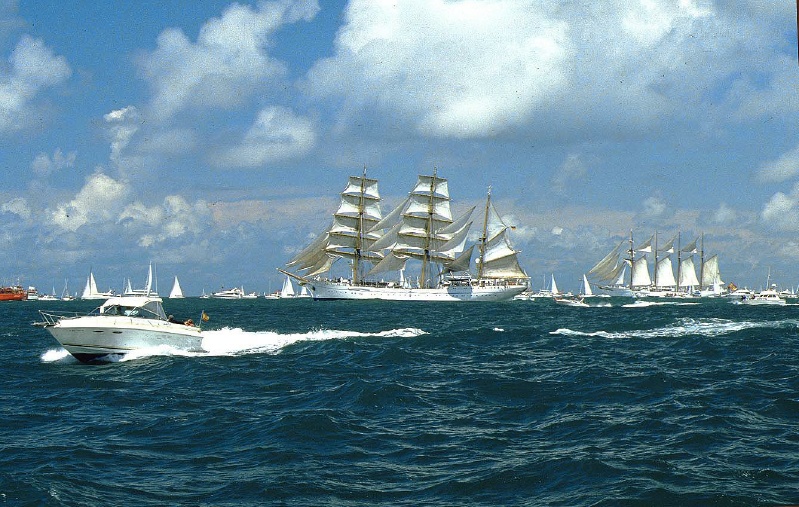 regata 2-46