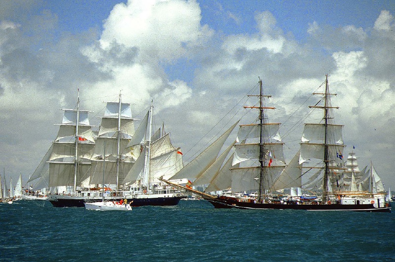 regata 2-50