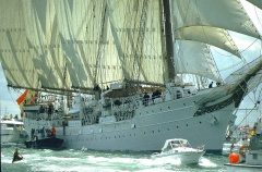 regata 1-50
