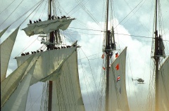 regata 2-10