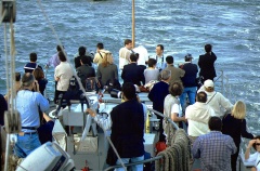 regata 2-15