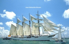 regata 2-20