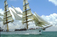 regata 2-21