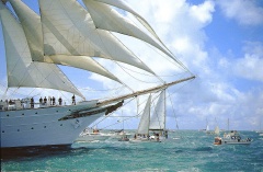 regata 2-22