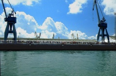regata 2-33