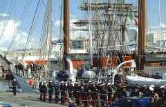 regata 2-36