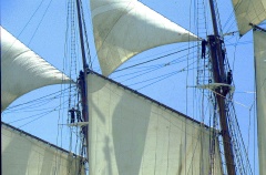 regata 2-44