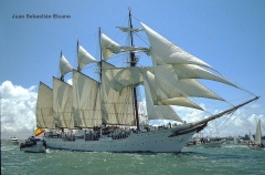 regata 2-45