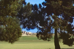 9c